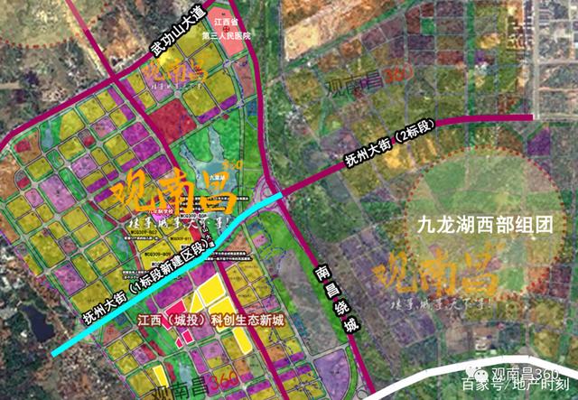 九龙湖社区交通最新动态