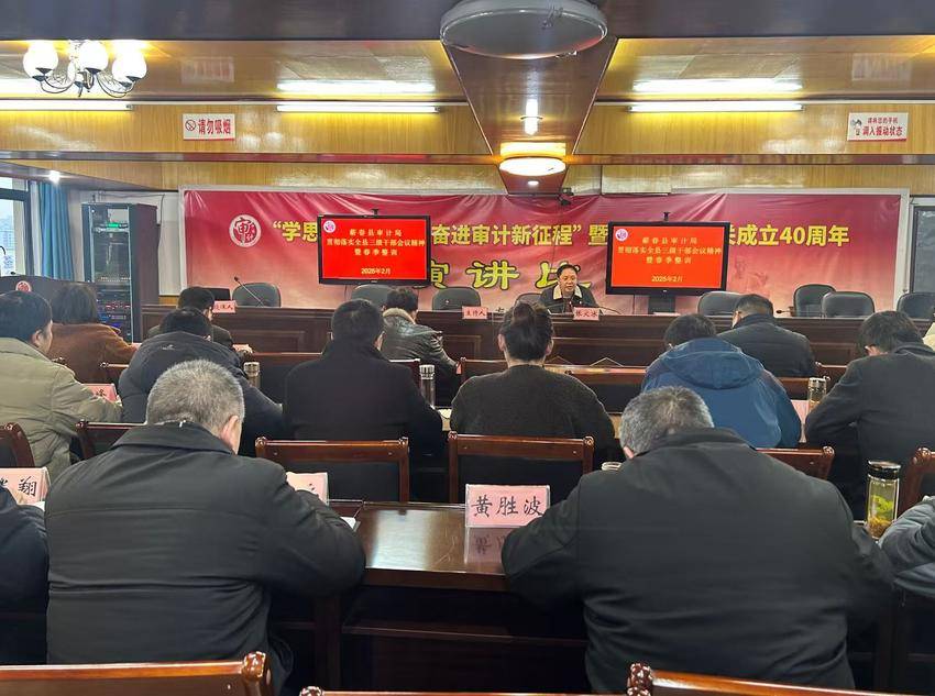崇阳县审计局最新动态报道