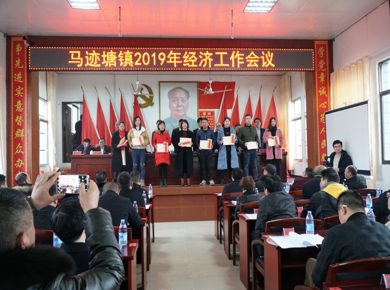 马迹镇领导团队引领未来，共筑美好新篇章